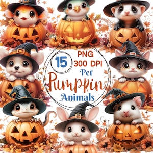 Pet Pumpkin Animals Clip Art, Set of 15 PNG Bundle, 300 DPI Clipart, Fall Cute Halloween Creatures, Dog, Cat, Axolotl, Fish, Ferret, Mouse