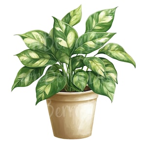 Clipart plante d'intérieur, lot de 19 PNG, 300 DPI Clip Art, plante d'intérieur en pot verte d'intérieur en pot verdure élément graphique numérique aquarelle