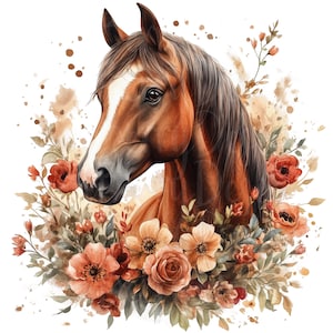 Clipart cheval, lot de 11 PNG, clipart cheval aquarelle, Portraits de chevaux Cowboy Cowgirl fleurs sauvages ferme basse-cour Floral équitation
