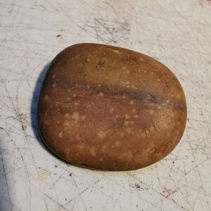 以下が含まれることがあります： 白っぽい斑点と中央に濃い茶色の帯がある、滑らかで茶色い楕円形の石