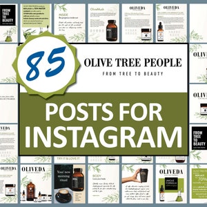 Oliveda Instagram Reels and Stories Templates | Instant Digital Download | Customizable | Olive Tree People | Social Media Template