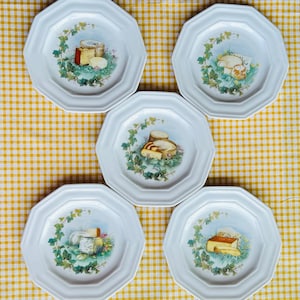 Set of 5 Vintage FRENCH &quot;MEDICIS&quot; Cheese Plates - 1970s