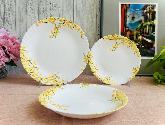 Vintage Set of LUMINARC 1 Floral Dinner Plate 1 Salad dessert Plate and 1 Salad Bowl Tempered Glass Tableware Floral Crafted in France Etsy