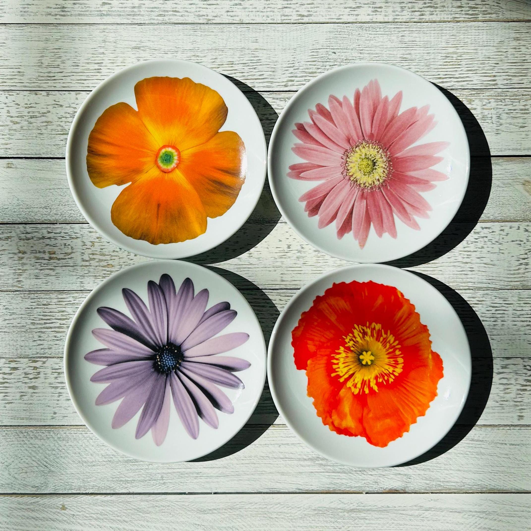 Vintage Set of 4 Isaac Mizrahi Dessert Plates 6