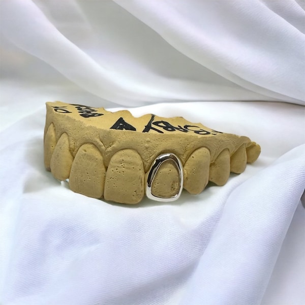 Grillz argenté pour fenêtre