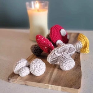 Crochet Mushroom Pattern Set - 5 pack