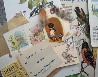 Paper Aviary Junk Journal and Collage Kit- 35+ bird vintage pages, vellum, coffee dyed, playing cards, ephemera etc.