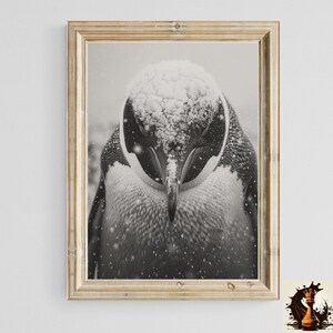 May include: A black and white photograph of a penguin covered in snow. The penguin is looking down with its head tucked in. The photo is framed in a light wood frame.