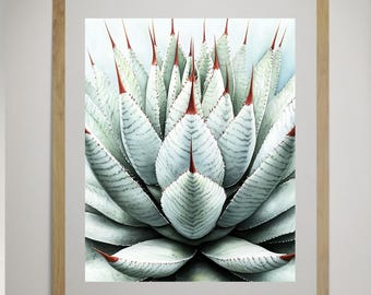 Watercolor Agave Print: Minimalist Desert Botanical Wall Art