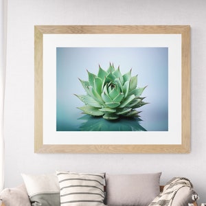 Desert Agave Print: Modern Botanical Wall Art
