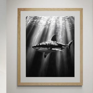 Great White Shark Art Print - Black and White Ocean Decor - Coastal Wall Art for Home or Office
