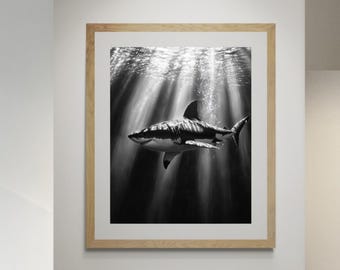 White Shark Art Print – Black and White Marine Life, Coastal Decor