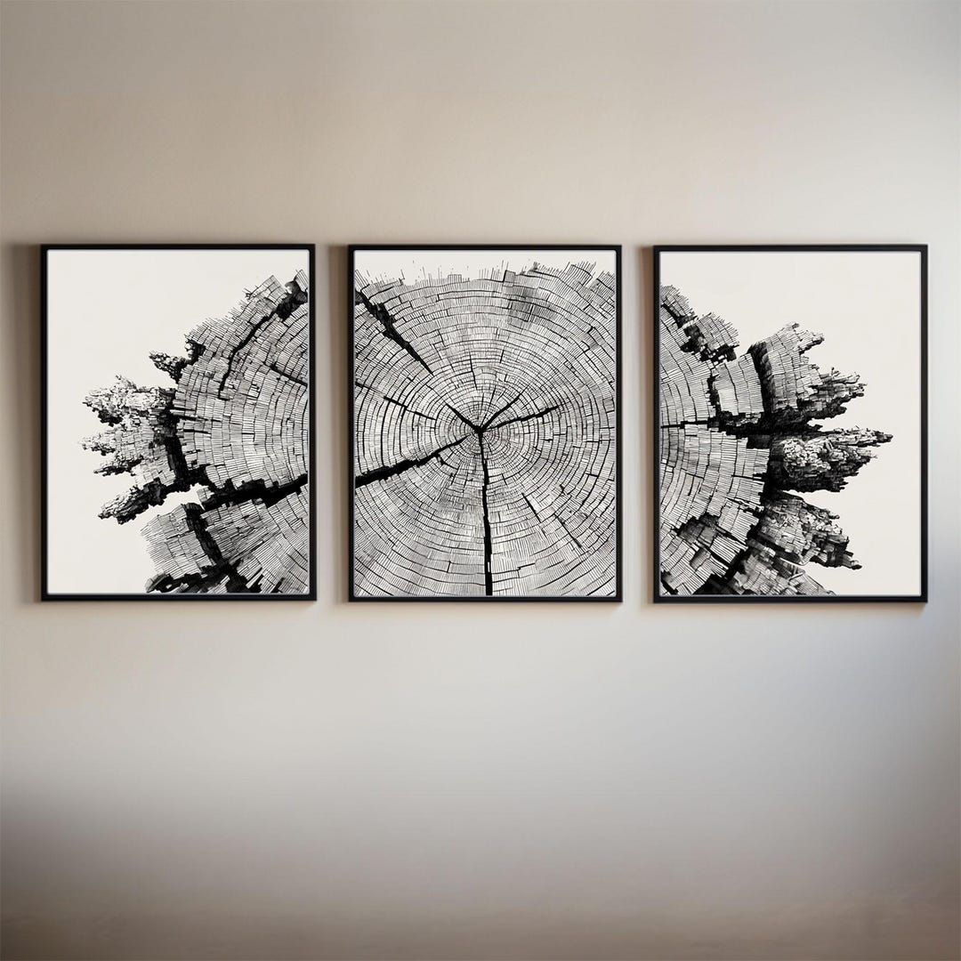 Tree Ring Triptych Wall Art – Black and White Dendrochronology Print ...