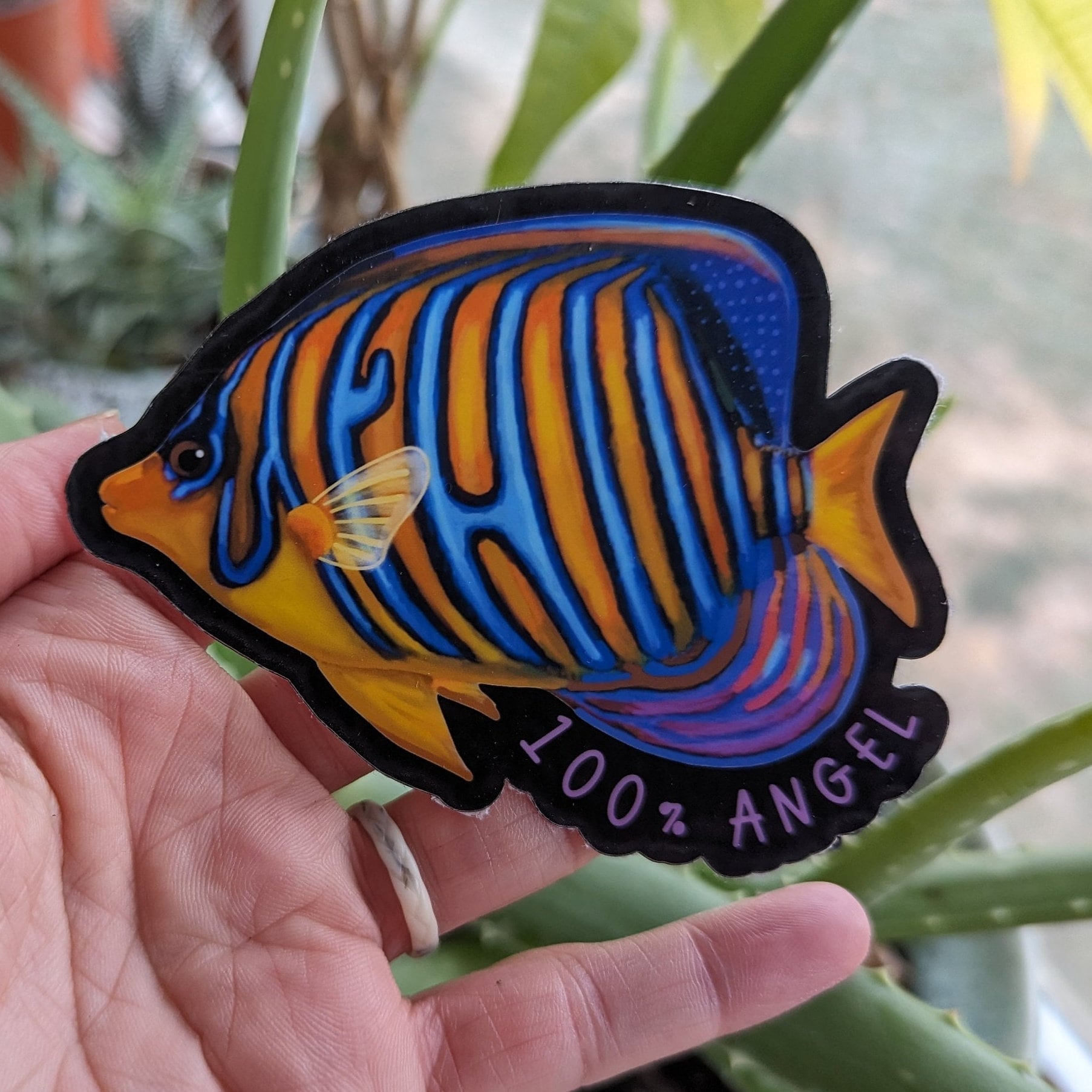 Customizable Royal Regal Angelfish Vinyl Sticker - Etsy