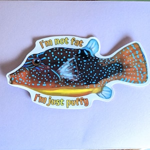 Blue spotted puffer fish Magnet