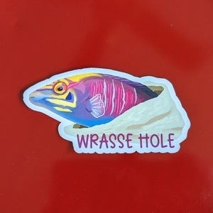 Funny Mystery Wrasse Vinyl Sticker