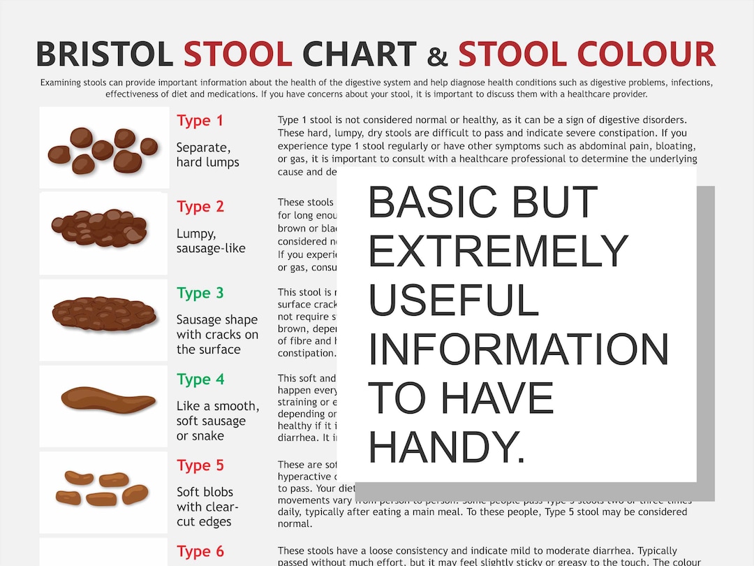 Bristol Stool Chart, Digital Download PDF, Stool Health, Healthy Poop