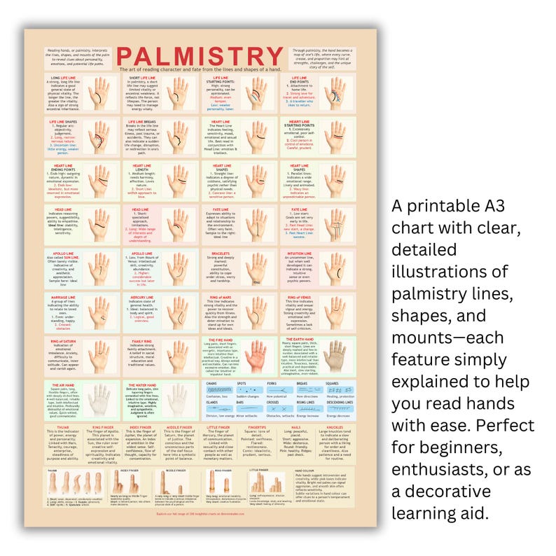 Palmistry Chart: Hand Reading Guide - Lines, Shapes, Mounts (digital ...
