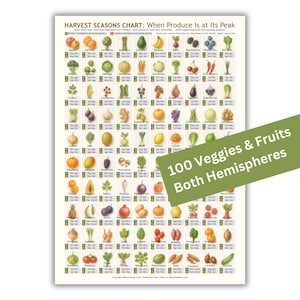 Könnte beinhalten: Eine weiße Tabelle mit der Aufschrift "HARVEST SEASONS CHART: When Produce Is at Its Peak" mit einem grünen Banner mit der Aufschrift "100 Veggies & Fruits Both Hemispheres". Die Tabelle zeigt Illustrationen verschiedener Früchte und Gemüse mit ihren Erntezeiten.