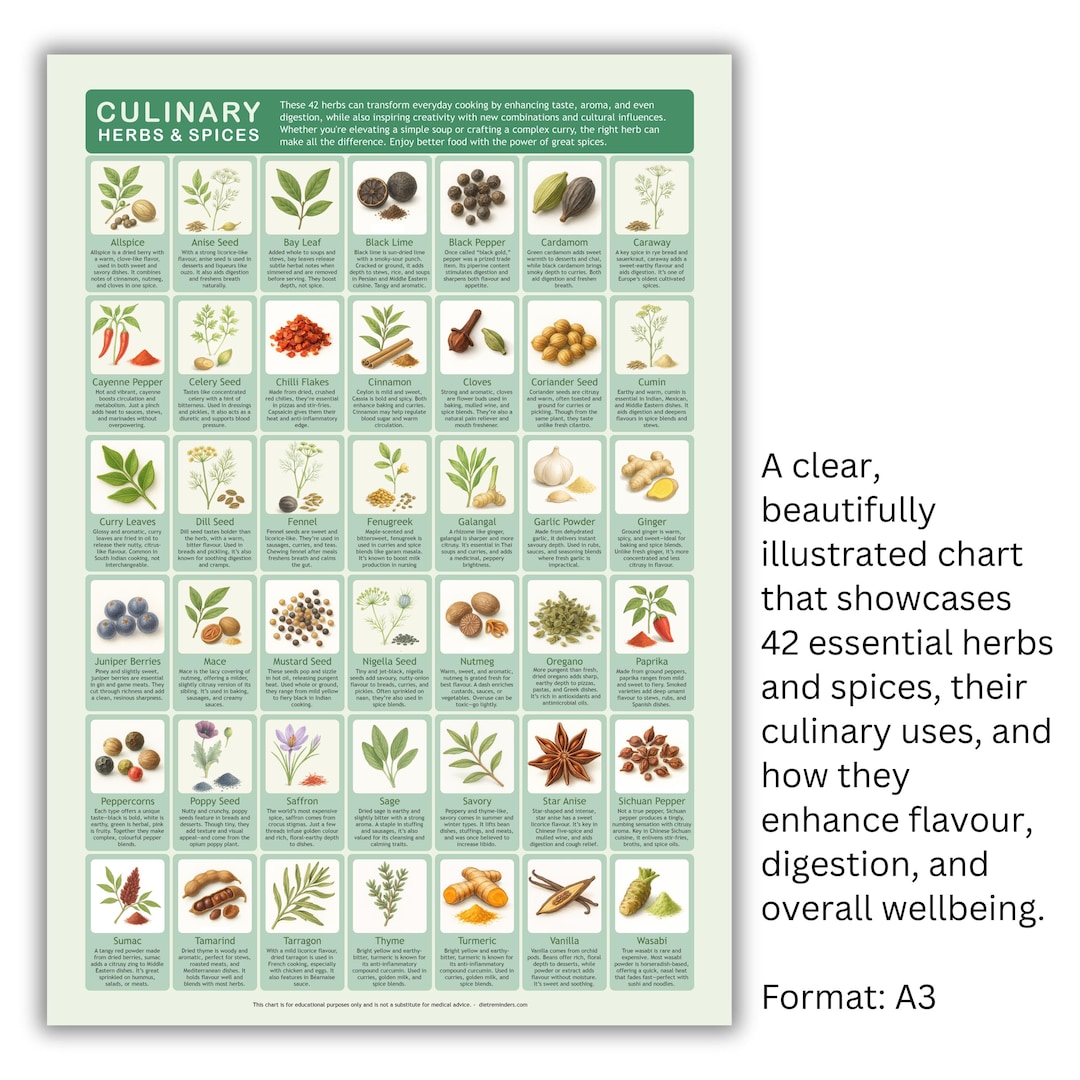 Culinary Herbs & Spices Chart: Illustrated Kitchen Decor (A3 Digital ...