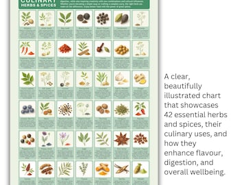 Culinary Herbs & Spices Chart: Illustrated Kitchen Decor (A3 Digital PDF Guide)