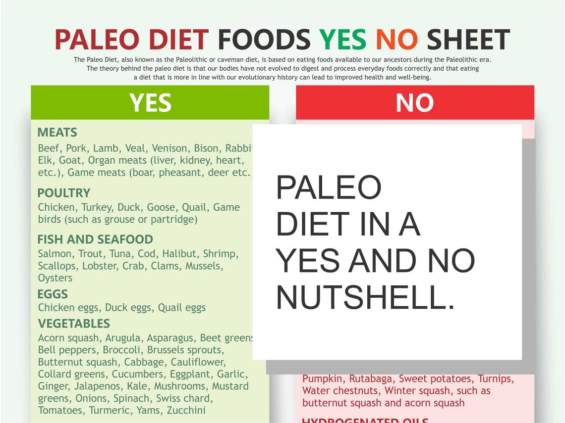 PALEO Diet Foods List and Chart, Yes No List, Colour-coded, Easy to