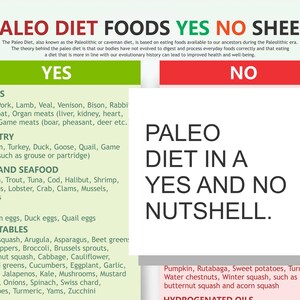 PALEO Diet Foods List and Chart, Yes No List, Colour-coded, Easy to ...