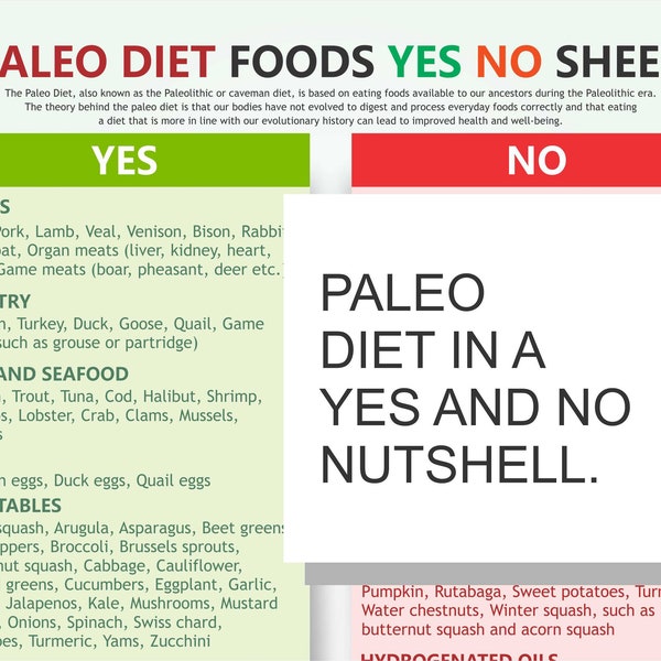 PALEO Diet Foods List and Chart, yes no list,  colour-coded, easy to follow, digital PDF download, A4 poster, lose weight, feel better