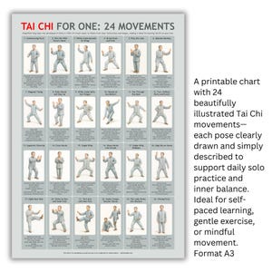 Tai Chi Poster: 24 Simplified Yang Style Movements - Illustrated Guide (A3 Printable Digital Download