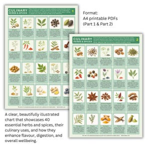 Puede incluir: Dos gráficos imprimibles que muestran 40 hierbas y especias esenciales con ilustraciones. Los gráficos incluyen los nombres de las hierbas y especias, sus usos culinarios y cómo mejoran el sabor y la digestión. El texto dice "CULINARY HERBS & SPICES".