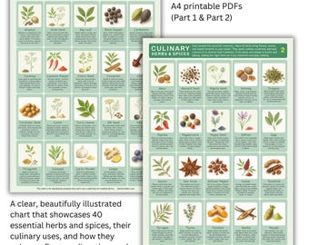 Herbs & Spices Kitchen Chart Set: Illustrated Cooking Guide (Digital PDF A4/US Letter)