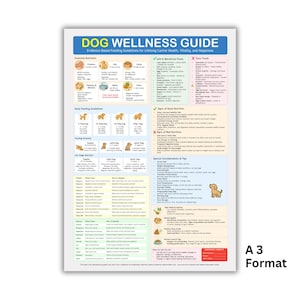 Könnte beinhalten: Ein weißes A3-Format-Poster mit dem Titel "DOG WELLNESS GUIDE" mit detaillierten Informationen zu Hunde Gesundheit, Ernährung und Fütterungsrichtlinien. Das Poster enthält Abschnitte über essentielle Nährstoffe, tägliche Fütterungsrichtlinien und Anzeichen guter Ernährung.