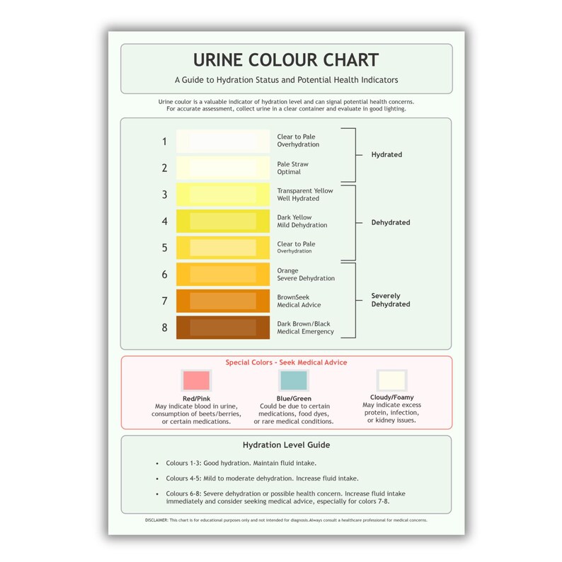 Urine Colour Chart A4 PDF Hydration & Health Guide Printable Wall