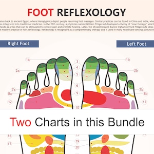 Op de afbeelding: Een voetreflexologiekaart met gelabelde diagrammen van de rechter- en linkervoet. De kaart bevat de tekst "Two Charts in this Bundle" en details over de geschiedenis van reflexologie.