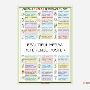 Cuadro de referencia de hierbas culinarias, 36 hierbas ilustradas y explicadas, póster decorativo de arte mural, PDF de alta resolución, descarga digital instantánea