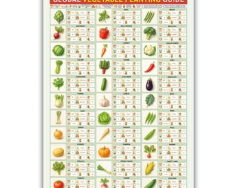 Global Vegetable Planting Guide: Illustrated A3 Garden Chart (PDF Digital Download)
