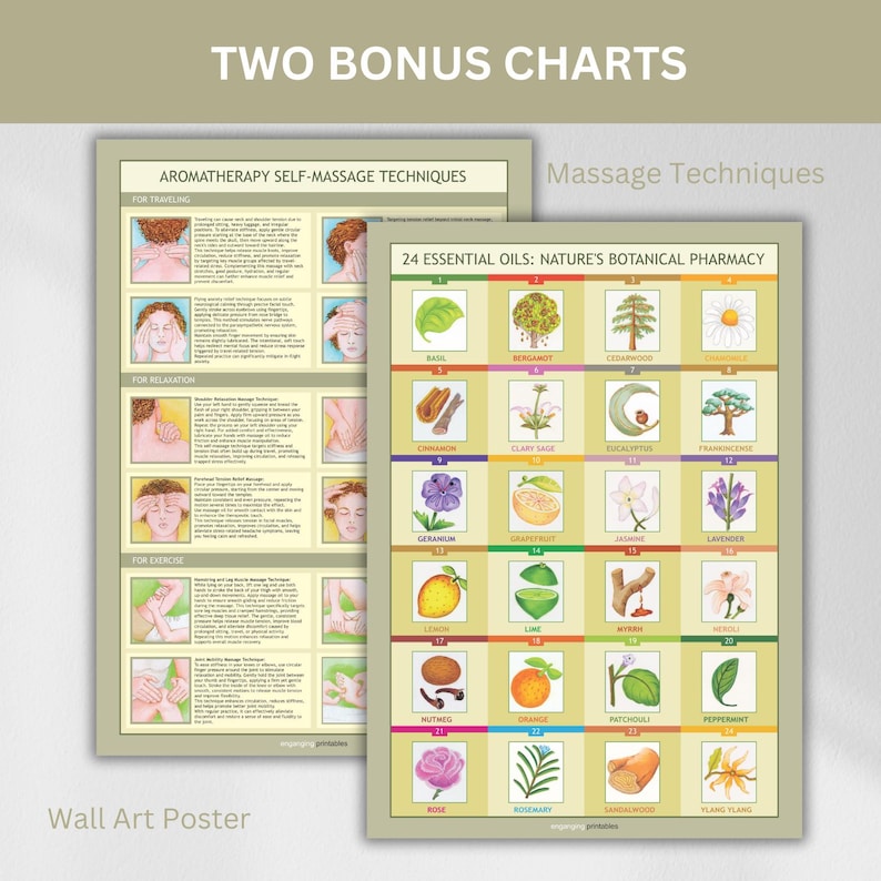 Essential Oils Reference Wall Chart Bundle, 24 Oils Decoded, 5 X A3 ...