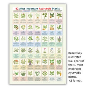 May include: A3-format wall chart titled "42 Most Important Ayurvedic Plants." The chart features 42 illustrated plant species, each in a small square with a name and brief description. The text "Beautifully illustrated" is visible.