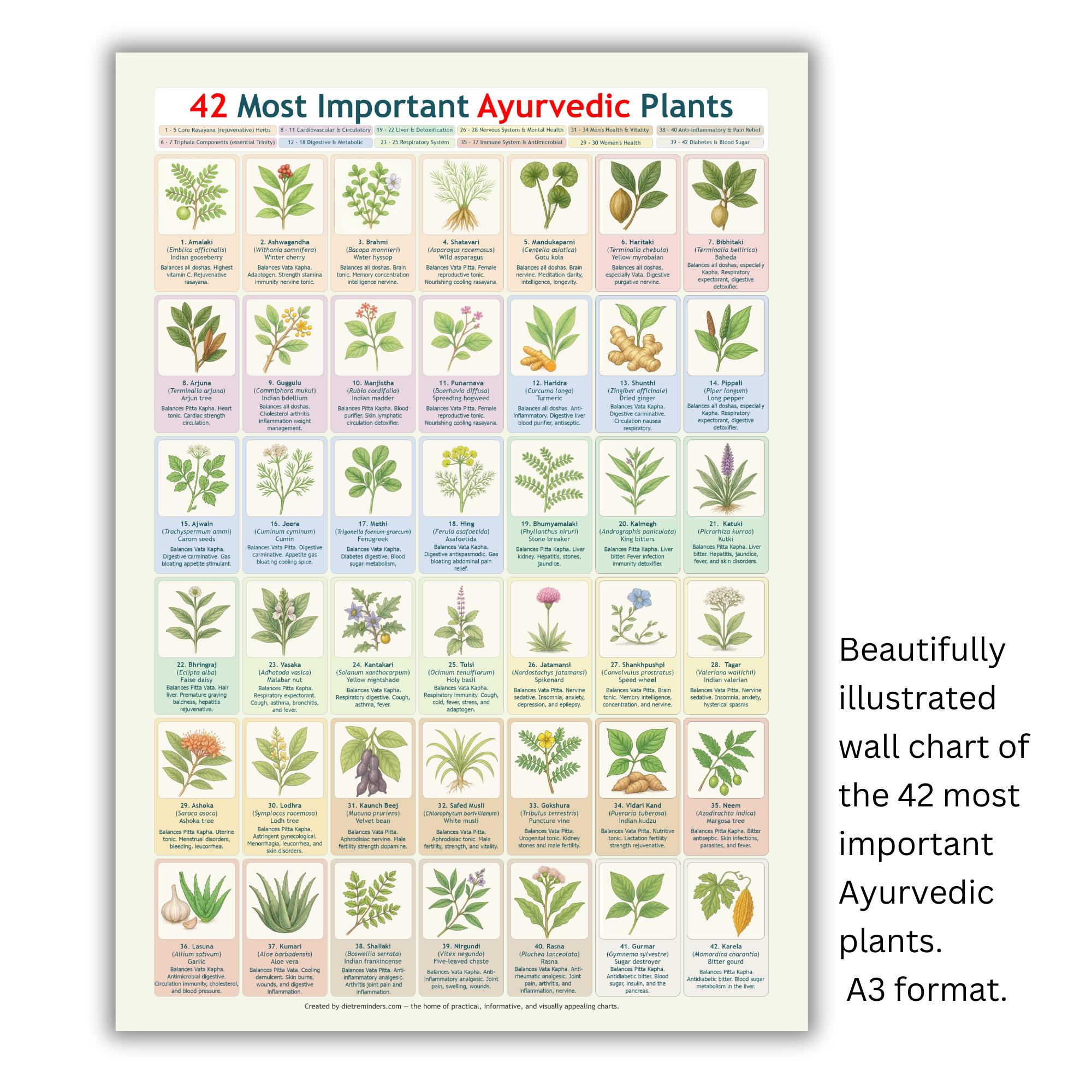 Ayurvedic Healing Plants Chart: Dosha Balancing Herbal Guide (A3 PDF  Digital Download - Etsy
