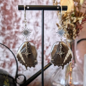 Real Butterfly Wing Earrings | Brush-Footed Butterfly | Resin Jewelry | Insect Art