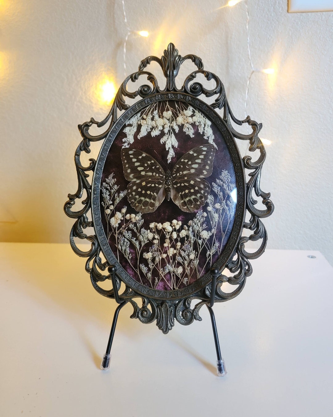 Real Butterfly Vintage Glass Frame Convex Glass Frame Etsy