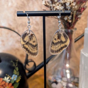 Real Moth Wing Earrings |  Death&#39;s Head Hawkmoth | Resin Jewelry | Insect Art
