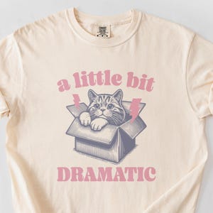 Um pouco dramático, gatinho fofo em caixa, camiseta Comfort Colors®, camiseta gráfica vintage, animal fofo, presente para amantes de animais de estimação, atitude atrevida, 2411-431