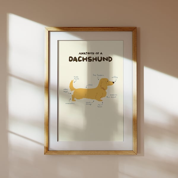 Dachshund Art | Dachshund Print | Dachshund Gift | Sausage Dog Print | Dachshund Illustration | Anatomy Of A Dachshund | Cream Dachshund