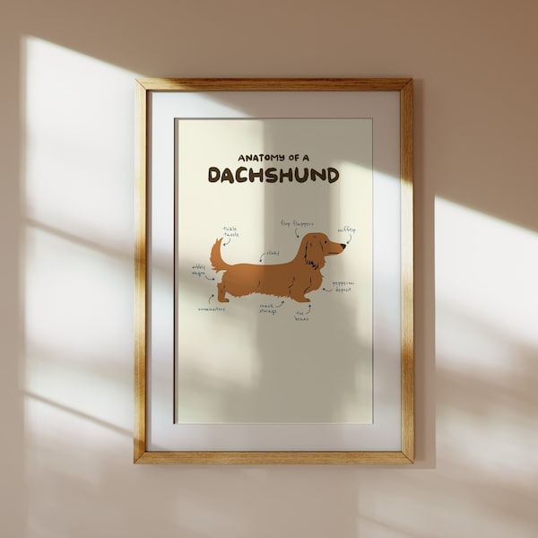 Dachshund Art | Dachshund Print | Dachshund Gift | Sausage Dog Print | Dachshund Illustration | Anatomy Of A Dachshund | Brown Dachshund