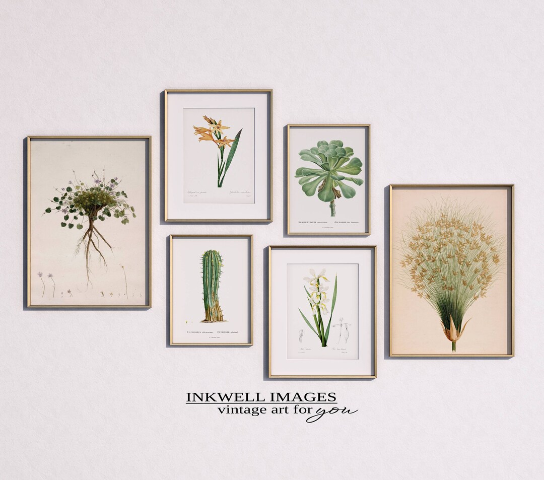 Vintage Botanical Gallery Wall Art Set of Six Farmhouse Wall Art