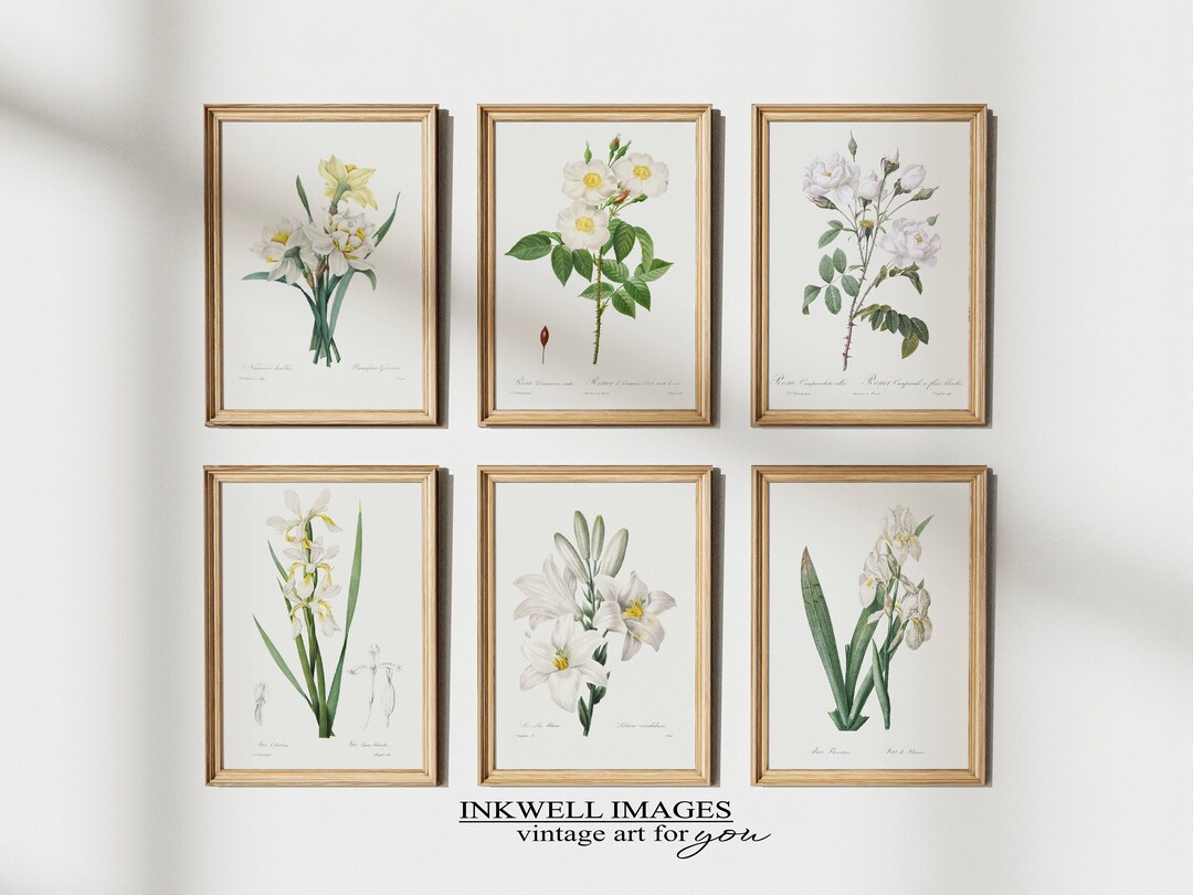 Vintage Botanical Wall Art Set of Six White and Yellow Flower Print Set ...