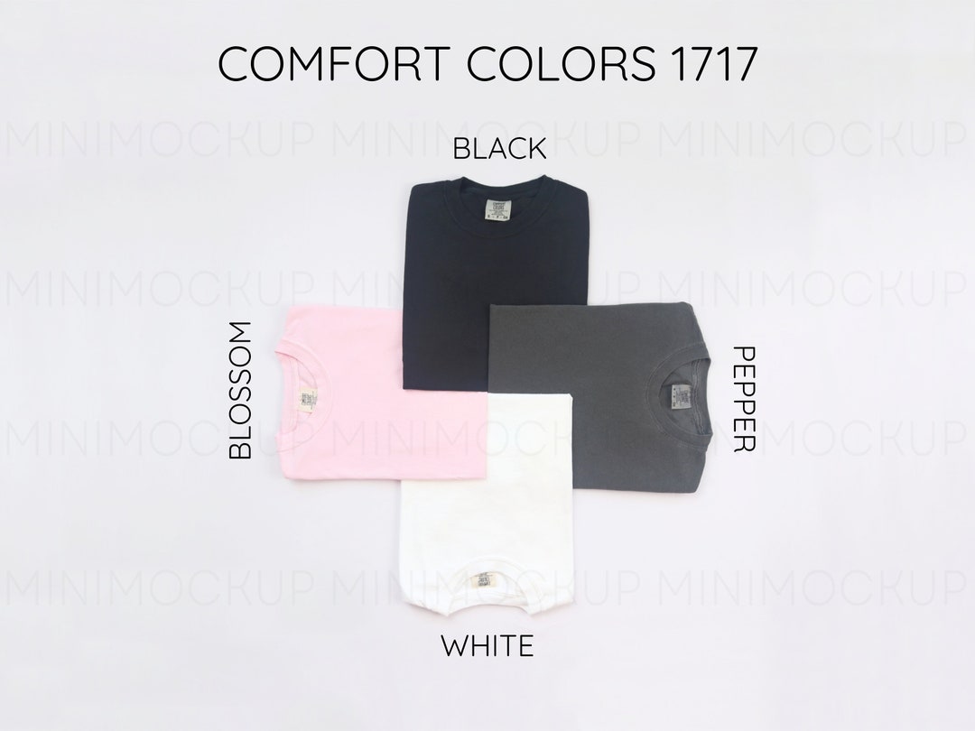 Comfort Colors 1717 Color Chart | Flatlay Mockup Color Chart Mock up ...