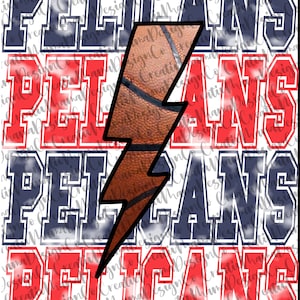 ペリカン PNG デザイン
