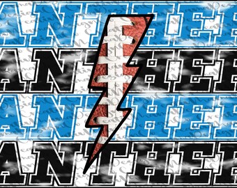 Panthers License Plate Design